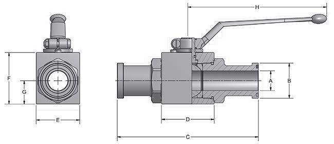 BVHP -FL Diagram