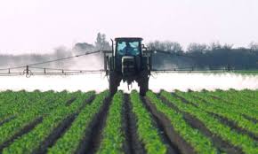 Farmer Spraying